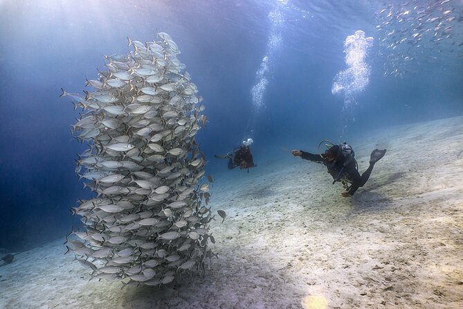 (2 Dives) Discover Scuba Diving Kota Kinabalu - Weather, Schedule Reality, and How to Avoid Day-Of Stress