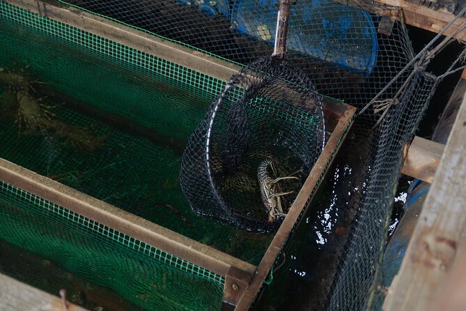 2 Hours Private Mangrove Tour Langkawi - Fish farm stop, floating restaurant time, and the fish show