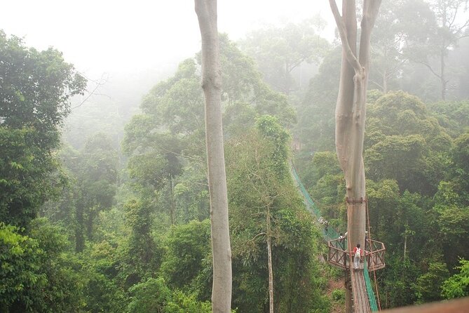 2-Night Danum Valley Borneo Rainforest Lodge Hiking and Wildlife Adventure - Day 2: Coffin Cliffs, viewpoints, Jacuzzi Pool, and Danum River options