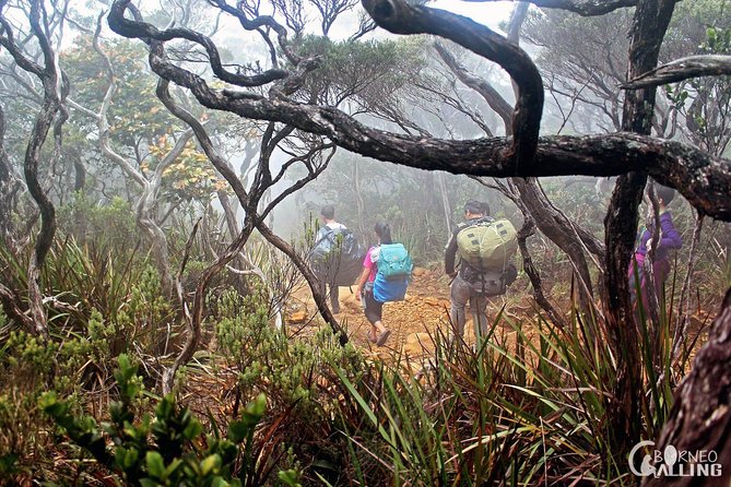 2d1n Mount Kinabalu Via Ferrata - Walk The Torq - Day 1: Early pickup, Timpohon Gate start, and the Pendant Hut reset