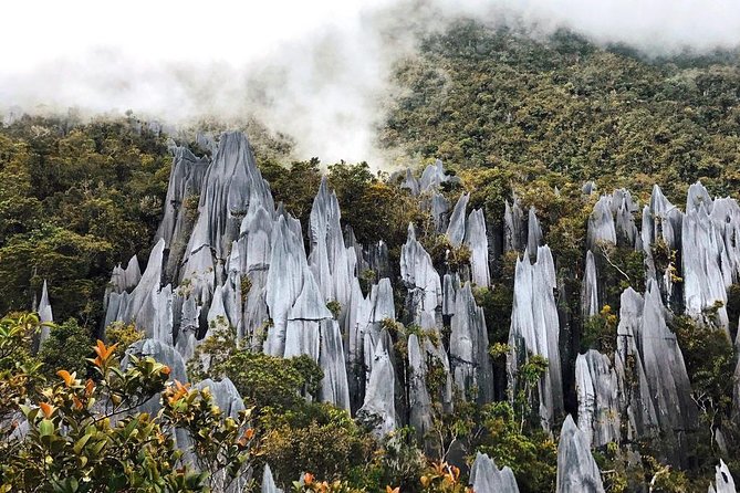 3 Days 2 Nights Unesco World Heritage Mulu 4 Showcaves - Key Highlights You’ll Care About
