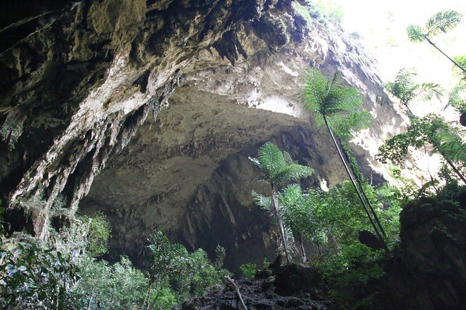 3 Days 2 Nights Unesco World Heritage Mulu 4 Showcaves - Day 3: Morning Flexibility and Airport Transfer