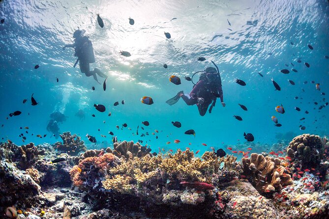 (3 Days) PADI Open Water Diver Course Kota Kinabalu - What the boat day and meals really add to the experience