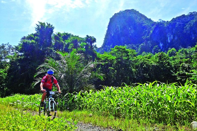 3-in-1 Ultimate Borneo Expedition Adventure - Key Things That Make This Day Special