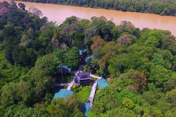 3D2N Sukau Wildlife Experience - Day 1 at 4:00 PM on the Kinabatangan: primates, birds, and your first river read