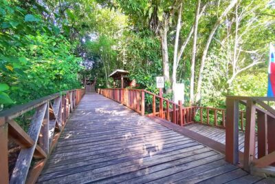 3D2N Sukau Wildlife Experience