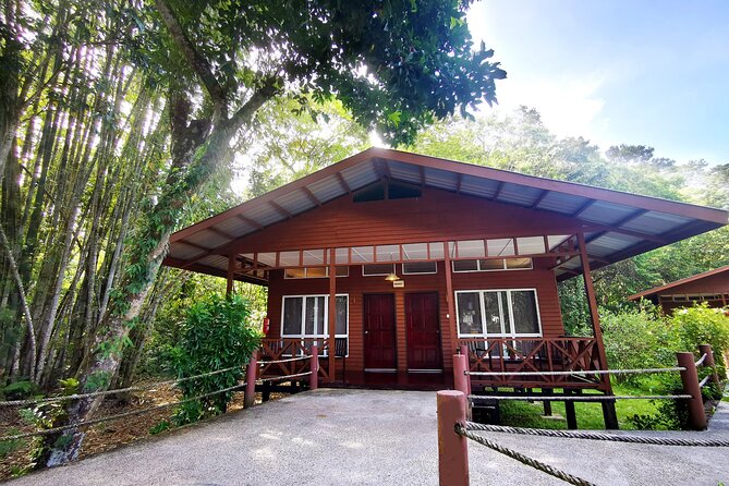 3D2N Sukau Wildlife Experience - Rooms, cleanliness, and how to pack for a nature-focused stay