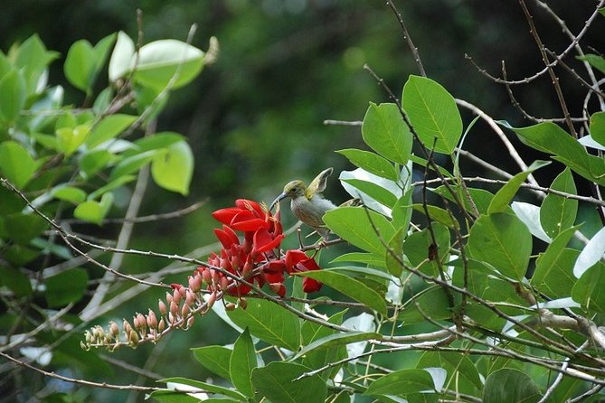 4-Day Jungle Experience in Taman Negara from Kuala Lumpur - Day 1: morning transfer, boat ride, and your first night jungle walk