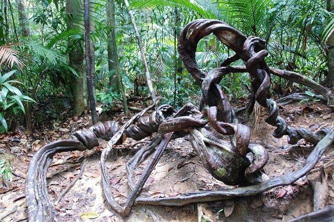 4-Day Jungle Experience in Taman Negara from Kuala Lumpur - Day 4: breakfast, a short river crossing, then back to Kuala Lumpur