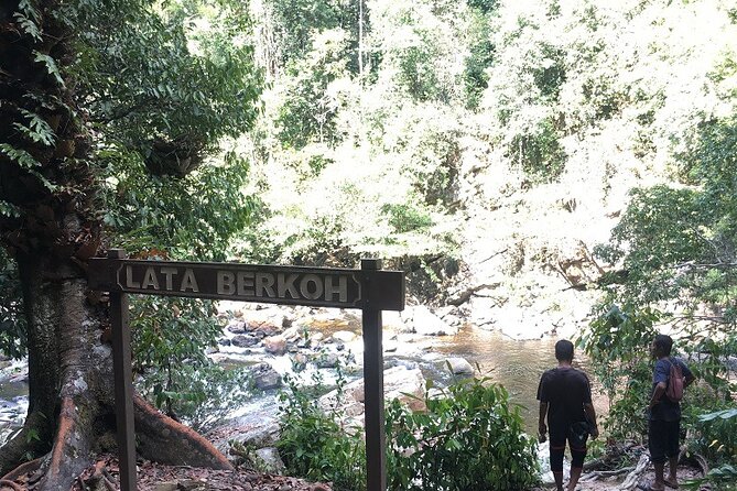 4-Day Jungle Experience in Taman Negara from Kuala Lumpur - Staying at Mutiara Taman Negara Resort: comfort with jungle reality