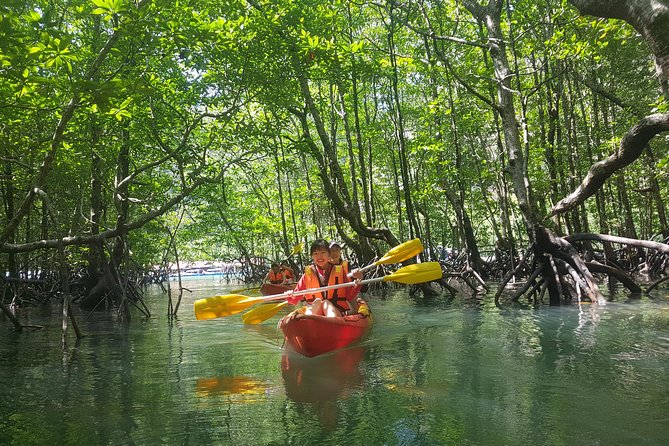 5 Hours Kilim Mangrove Kayaking Sharing Tour (With Hotel Pickup) - Kayaking the Mangroves: Wildlife Spotting in Narrow Channels