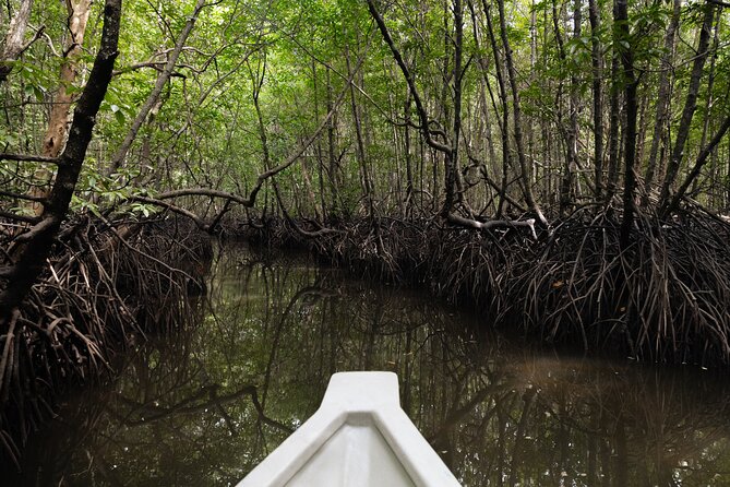 5 Hours Mangrove Boat Tour in Langkawi - Price and timing: getting value out of a 5-hour day