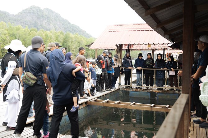 5 Hours Mangrove Boat Tour in Langkawi - Crocodile cave, eagle watching, and gorilla mountain photo time