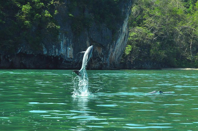 5 Hours Sharing Basis Kilim Mangrove Safari Boat Tour in Langkawi - What the Lunch Includes (and What Vegetarian Diners Should Know)