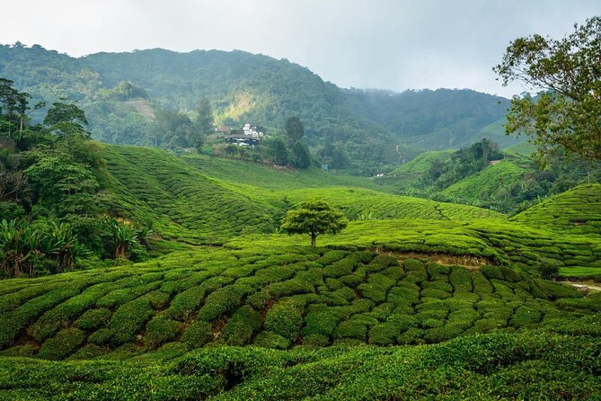 7-Days Best of Malaysia - Key points to know before you go