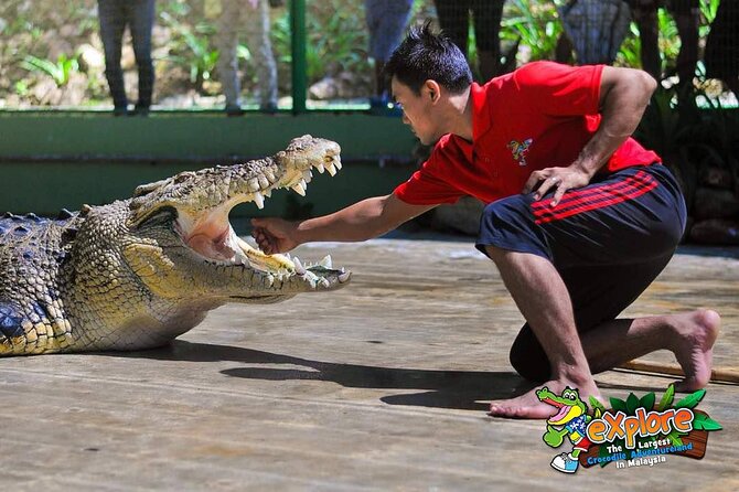 Adventure Combo - Crocodile Adventureland Langkawi: what this 90-minute visit feels like