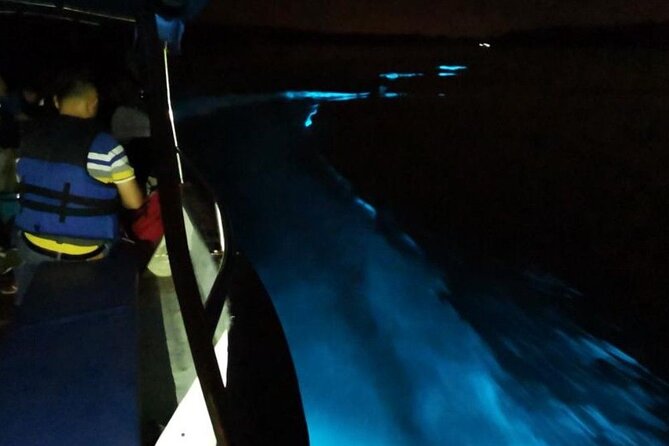 Amazing Fireflies With Blue Tears Watching & Kuala Selangor Tour - Monkeys, little stops, and the guide factor (LG and Guna)
