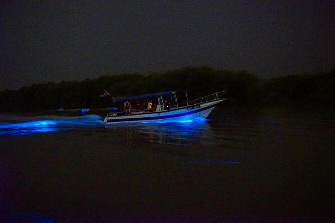 Amazing Fireflies With Blue Tears Watching & Kuala Selangor Tour - Food choices during the 6-hour flow