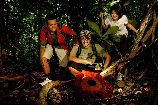 Amazing Taman Negara Day Trip from Kuala Lumpur Including Lunch - Key takeaways before you go