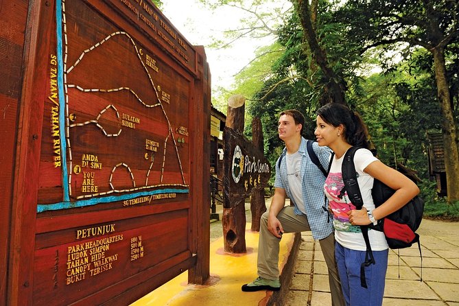 Amazing Taman Negara Day Trip from Kuala Lumpur Including Lunch - The early 5am start, plus how to make it painless