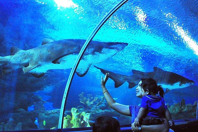 Aquaria KLCC Admission with Kuala Lumpur City Famous Landmarks - Key highlights I’d plan around