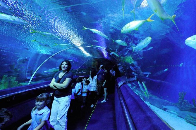 Aquaria KLCC Admission with Kuala Lumpur City Famous Landmarks - Sultan Abdul Samad Building: a classic KL facade you can’t miss