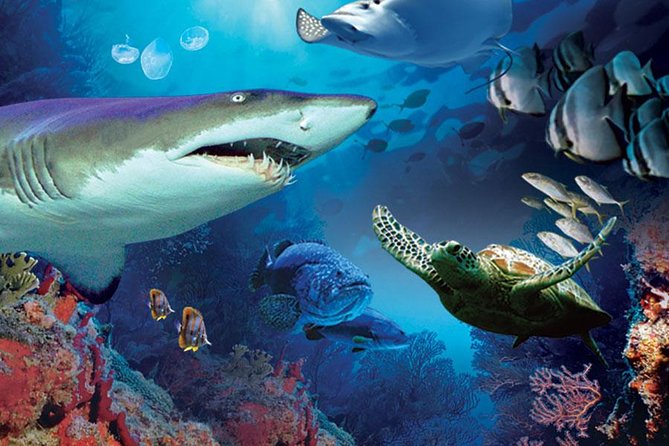 Aquaria KLCC Admission with Kuala Lumpur City Famous Landmarks - Hotel pickup plus air-conditioned travel: the practical win in a 3.5-hour plan