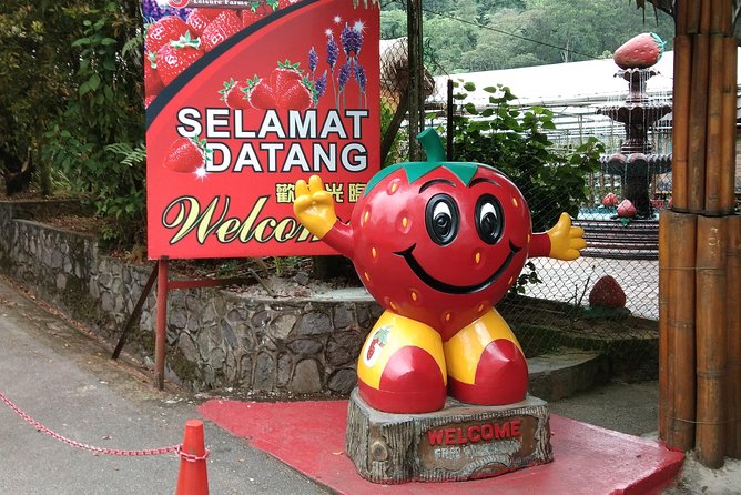 Batu Caves and Genting Highland Tour - Getting Up To Genting Highlands: Outlet Cable Car Time And What To Plan For