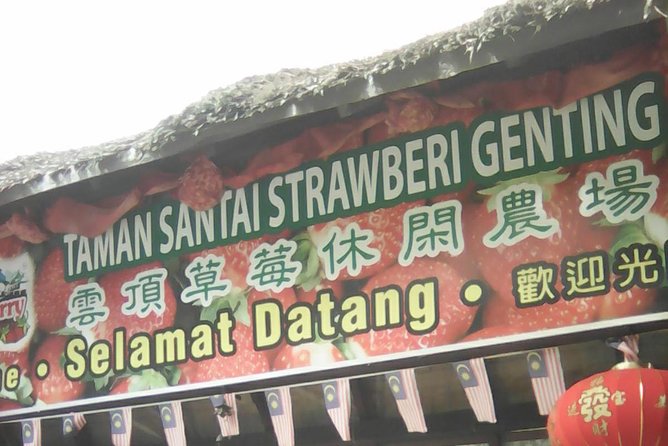 Batu Caves and Genting Highland Tour - Who Should Book This Tour (And Who Might Skip It)
