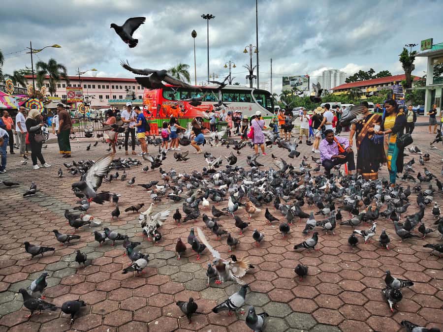 Best of Kuala Lumpur Tour with KL Tower & Batu Caves - Batu Caves: the 272 steps to a shrine deep inside the caverns