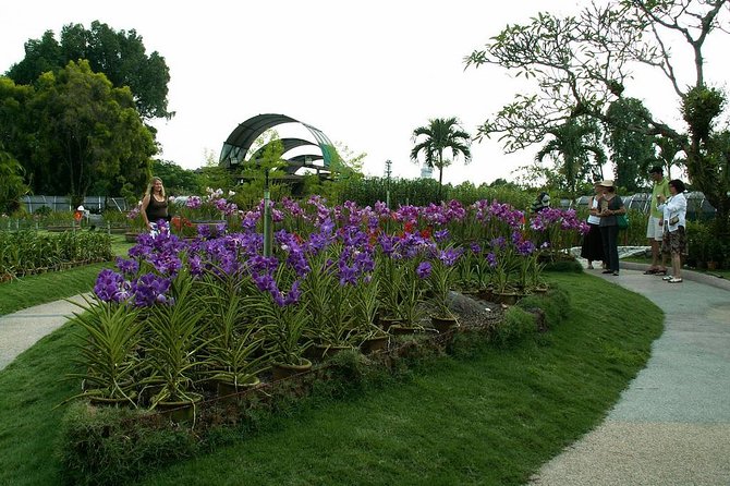 Bird Park & Butterfly Farm Nature Include All Entrance Tour From Kuala Lumpur - Price and value: what you’re really buying for $74
