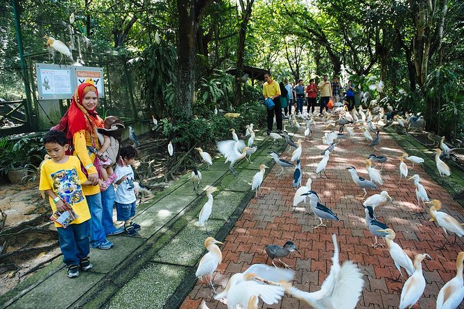 Bird Park & Butterfly Farm Nature Include All Entrance Tour From Kuala Lumpur - Timing: how to spend your 3 hours 30 minutes well