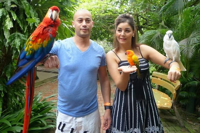 Bird Park & Butterfly Farm Nature Tour From Kuala Lumpur - Price and Logistics: What $34 Covers, and What It Does Not