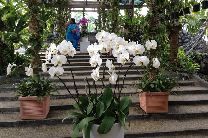 Bird Park & Butterfly Farm Nature Tour From Kuala Lumpur - FAQ