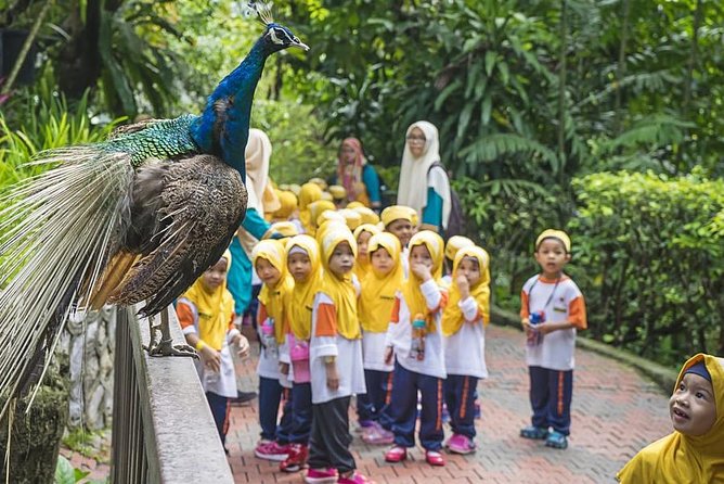 Bird Park & Butterfly Farm Nature Tour From Kuala Lumpur - Orchids at Lake Gardens: Taman Orkid & Bunga Raya Beyond a Photo Stop