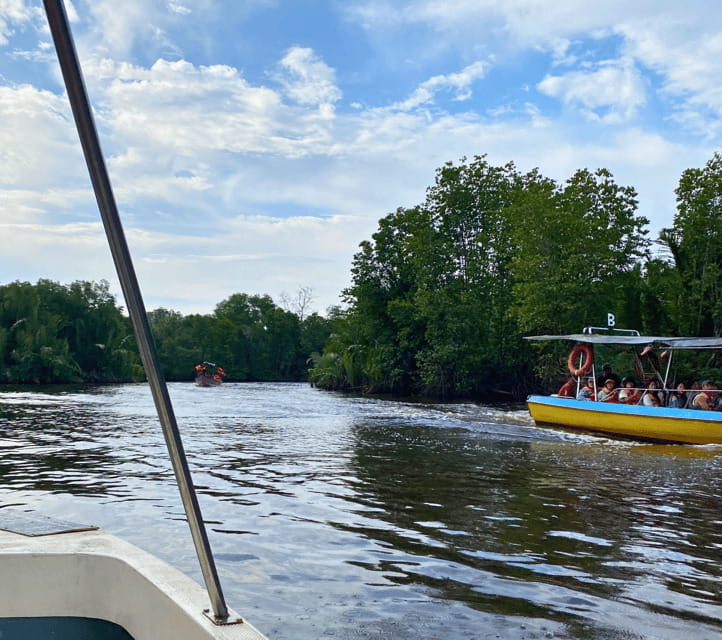 Bongawan River Cruise: Proboscis Monkey & Fireflies Mangrove - Fireflies after dark: the thousand-lights finale