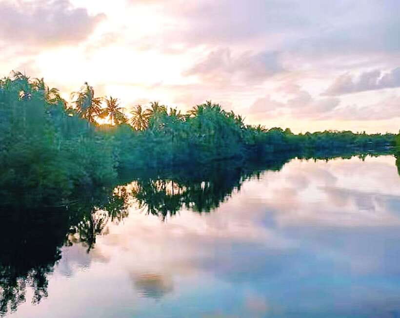 Bongawan Wetland: Proboscis Monkey and Fireflies Shared Tour - Planning Your Bongawan Wetland Proboscis and Firefly Day