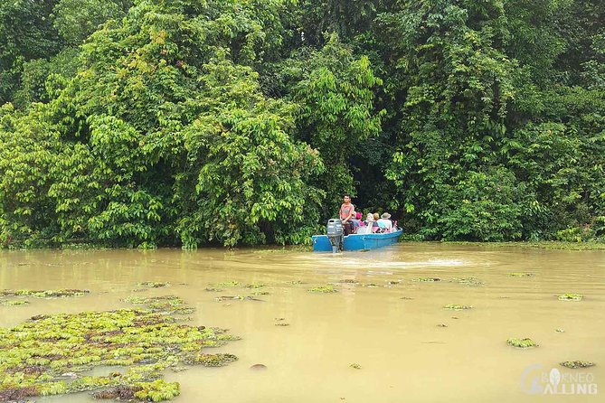 Borneo Kinabatangan River Cruise Day Trip - Dinner at the lodge: simple fuel for the ride back