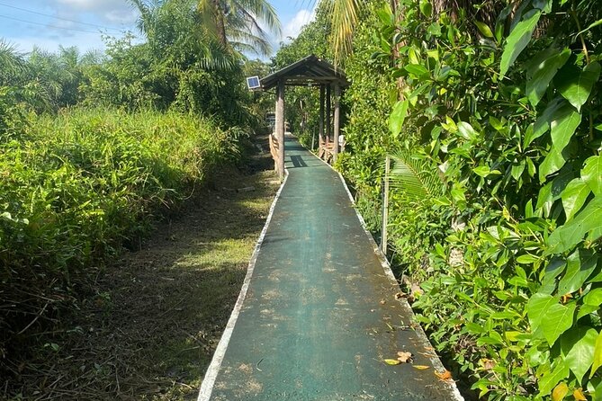 Borneo (Klias) River Cruise & Fireflies Tour - Who This Tour Fits Best, and Who Might Skip