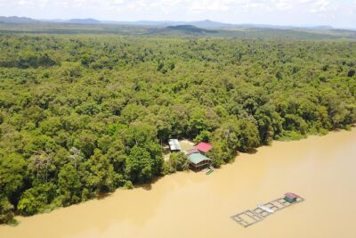 Borneo Wildlife Tour 2 Days 1 Night At Tanjung Bulat Jungle Camp Kinabatangan