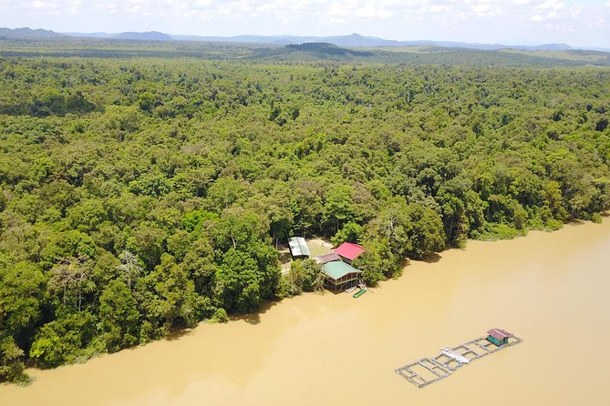 Borneo Wildlife Tour 2 Days 1 Night At Tanjung Bulat Jungle Camp Kinabatangan - Day 2 Morning Cruise and Check Out by 9am