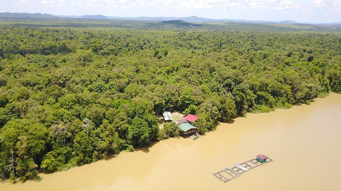 Borneo Wildlife Tour 3 Days 2 Nights At Tanjung Bulat Jungle Camp Kinabatangan - Wildlife You Can Actually Expect, and How to Think About It