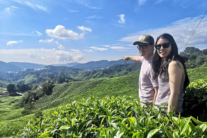 Cameron Highland Best Day Tour from Ipoh with Lunch ( Day Trip) - BOH Tea Centre and the tea factory stop (Sungei Palas Garden)