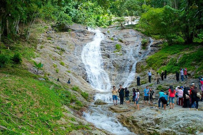 Cameron Highland Day Tour from Kuala Lumpur - Vegetable farm and vegetable market: see how food works at scale