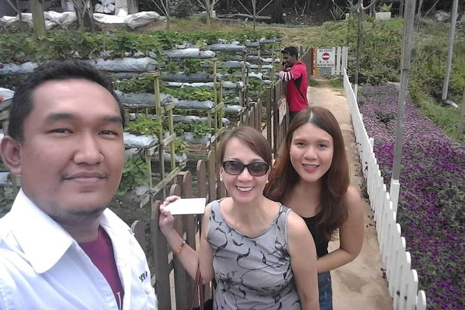 Cameron Highland Day Tour From Kuala Lumpur With Lunch Local food - Lata Iskandar waterfall stop: quick refresh, not a full hike