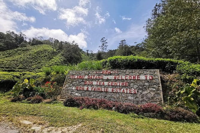 Cameron Highland Day-Trip from Kuala Lumpur - Boh Tea Plantation: what you see in an hour, and what you pay extra