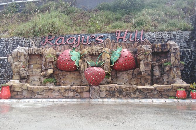Cameron Highland Private Day Tour - Price and logistics: what you pay, and what you should budget extra