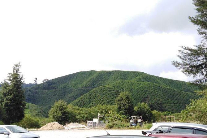 Cameron Highland Private Day Tour - Stop 3: MARDI Agrotek Park and old British-era houses