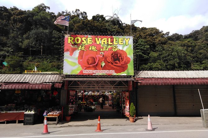 Cameron Highland Private Day Tour - Stop 4: Kea Farm Market and the quick, low-effort shopping win