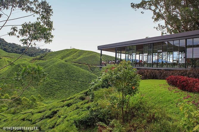 Cameron Highland Private Day Tour From Ipoh - Key Takeaways Before You Go